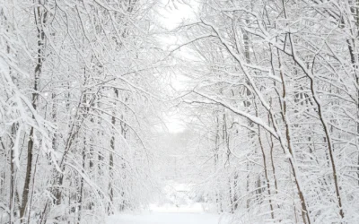 MALDITO INVIERNO
